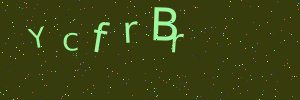 Validation image